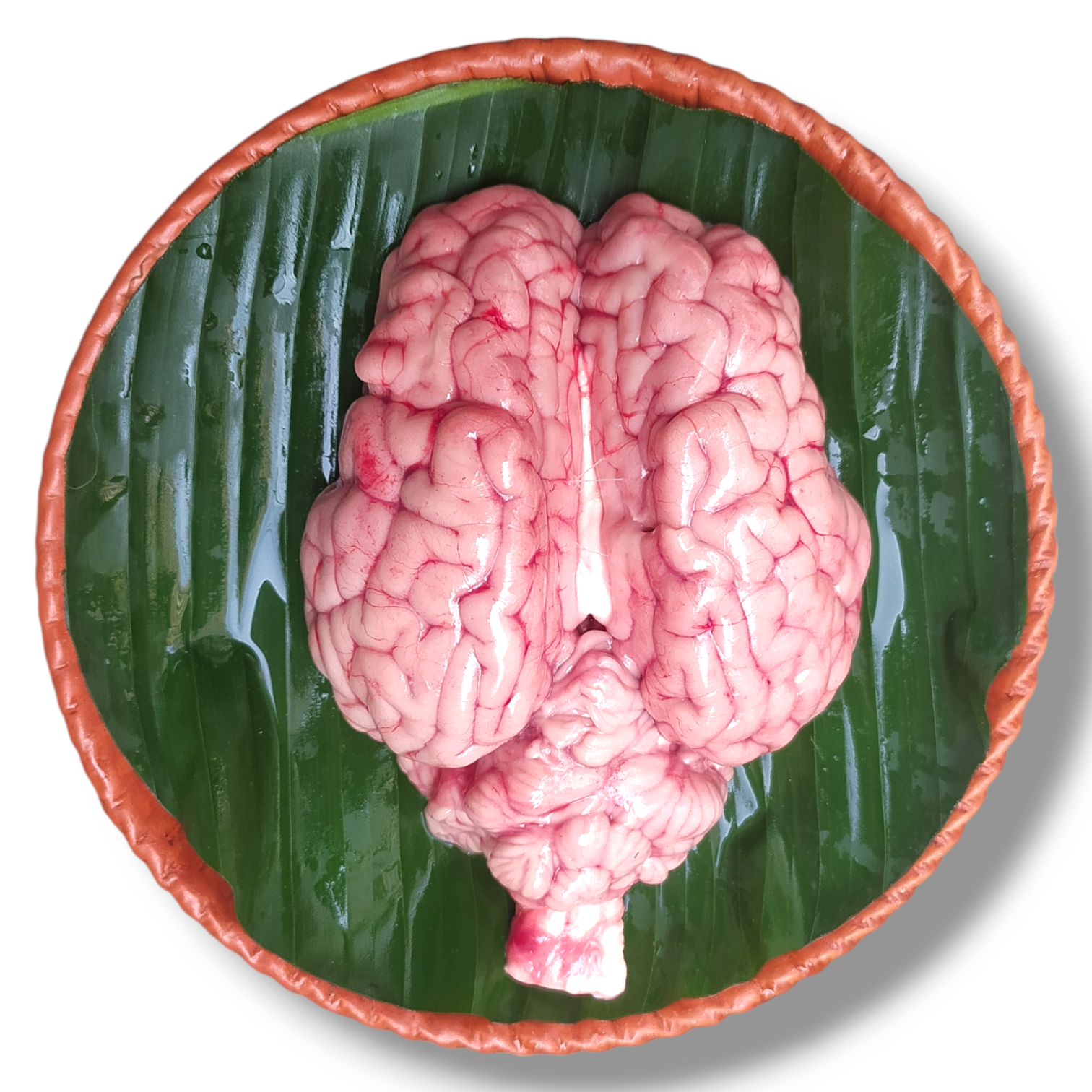 Beef Brain 1pc